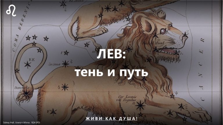 Знак Лев на космическом фоне — работа с тенью