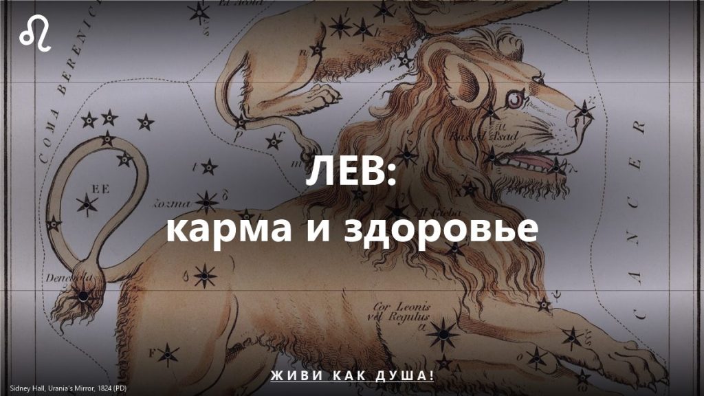 Лев: карта Sidney Hall — женское здоровье и карма знака