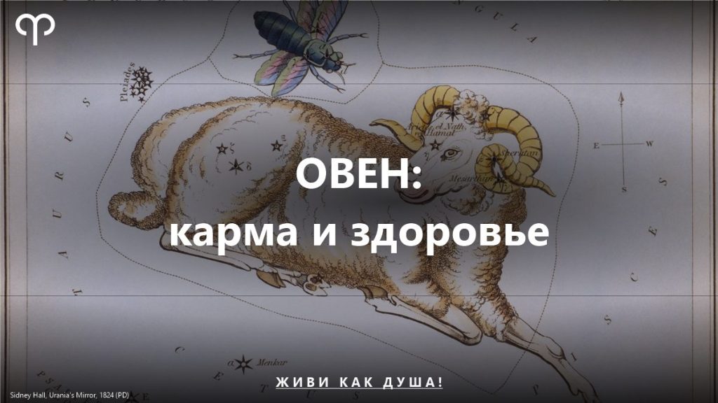 Кармические заболевания Овна