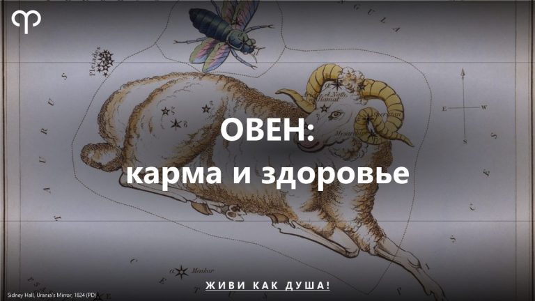 Овен: карта Sidney Hall — женское здоровье и карма знака