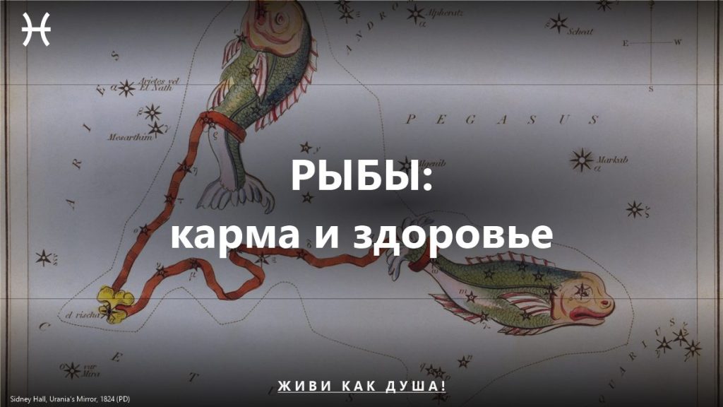 Рыбы: карта Sidney Hall — женское здоровье и карма знака