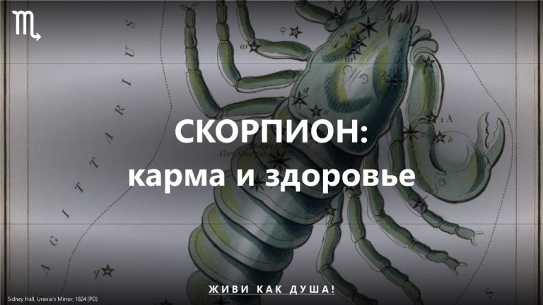 Скорпион: карта Sidney Hall — женское здоровье и карма знака