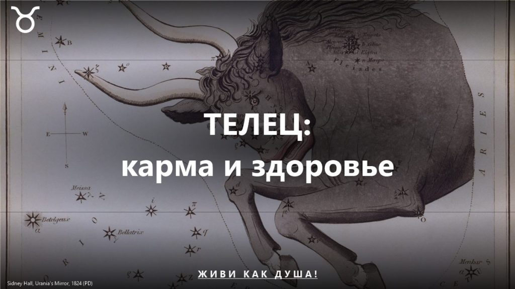 Кармические заболевания Тельца