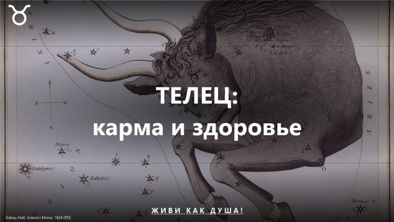 Телец: карта Sidney Hall — женское здоровье и карма знака