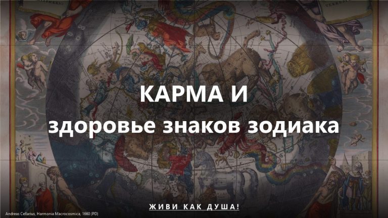 Астрологическая карта Cellarius — карма и здоровье знаков зодиака