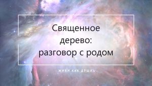 Священное дерево и материнская линия — разговор с родом без расстановок