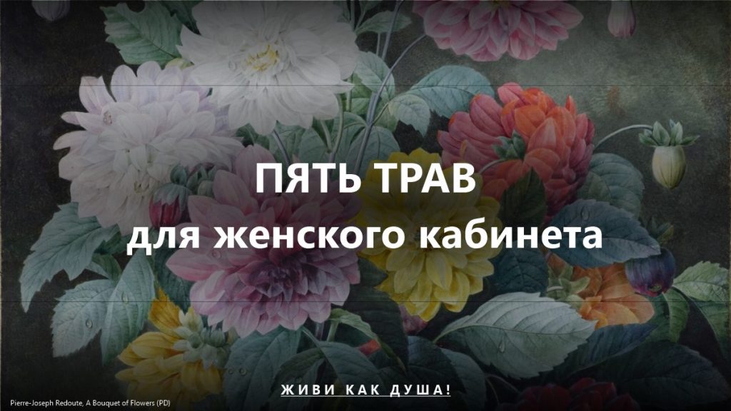 Пять трав для женского кабинета