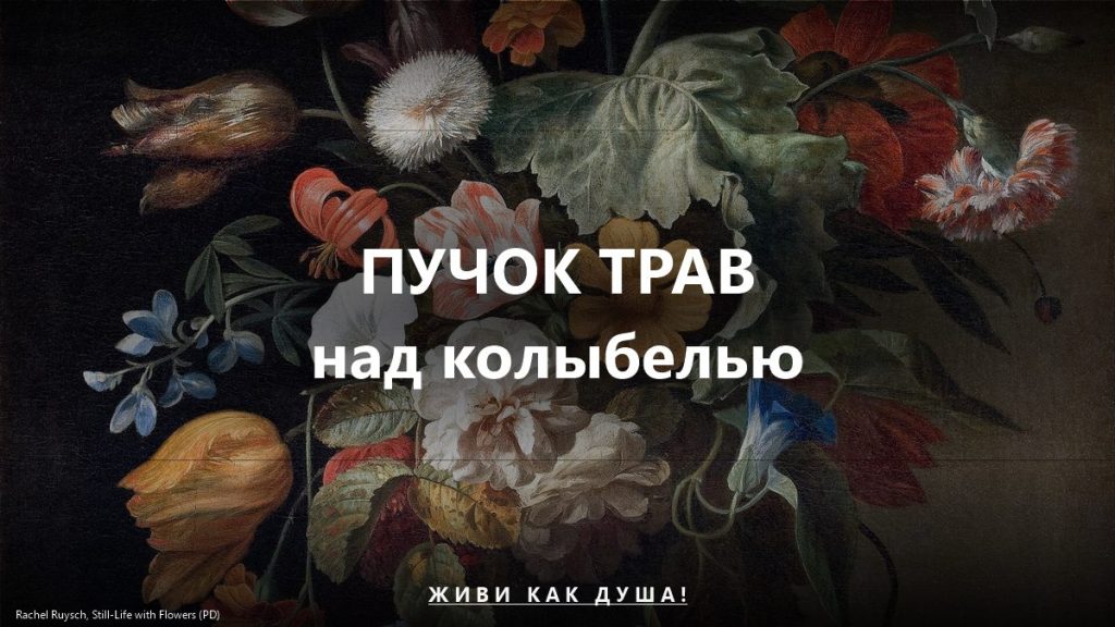 Пучок трав над колыбелью