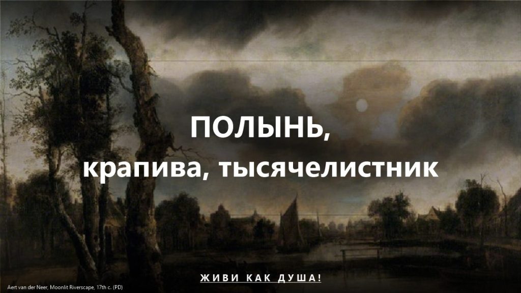 Три травы бабушки для женского тела
